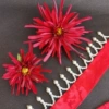 Pearl hair band + red red (large + small)