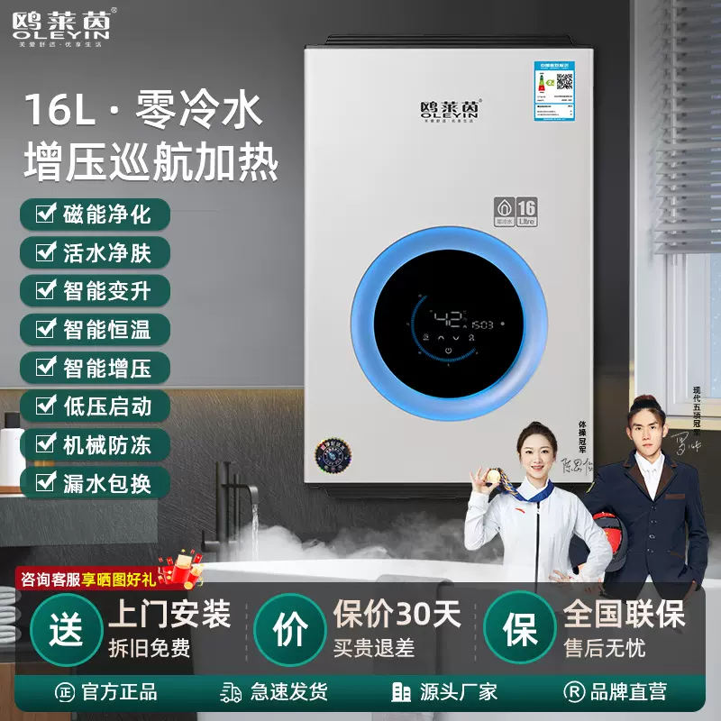 现货批发家用燃气热水器 天然气液化气16L强排式恒温零冷水热水器