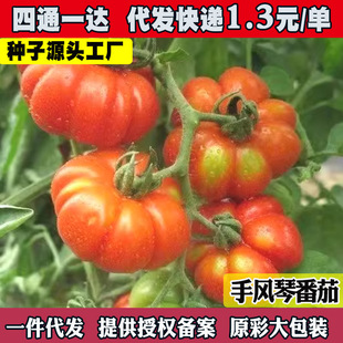 ޴̖R㷬ѷNӴLٷѷNͥԺ̨ˮ߲