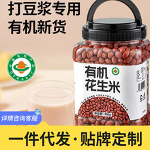 有机红皮花生打豆浆专用米生的小东北红衣2025新货优质大颗粒新鲜