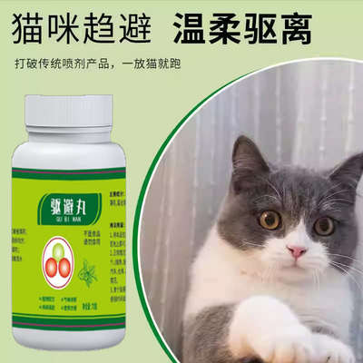 Кошачьи, снимающие артефактные посторонние