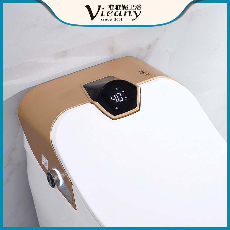 Retrete integrado automático del retrete elegante con la nueva versión estándar multifuncional del hogar del tanque de agua con el tanque de agua