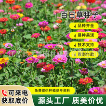 ļ_NղݻѻNӷNѲ߰վհղݻ