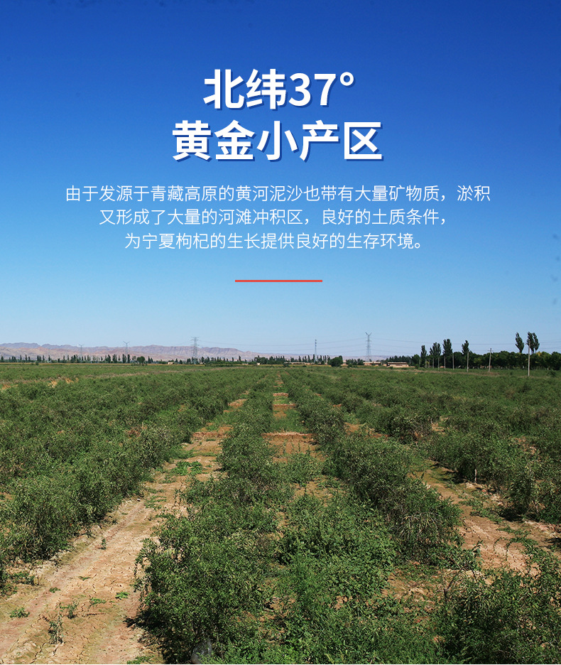 Ning'anbao Premium First Harvest Ningxia Goji Berries Dried Red Wolfberry 250g key features