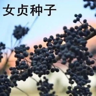 ���lС�~Ůؑ��N��С�~ˮϞ��@�־G�h���~��ľ