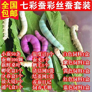 �Q�������x���ͯ�W���B�Q���bС�Q1�g234�g�����Q�Q�����bȫ��