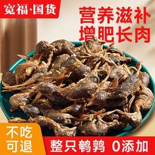 国货宽福鹌鹑冻干猫零食猫咪零食营养增肥发腮磨牙补钙小鹌鹑成猫