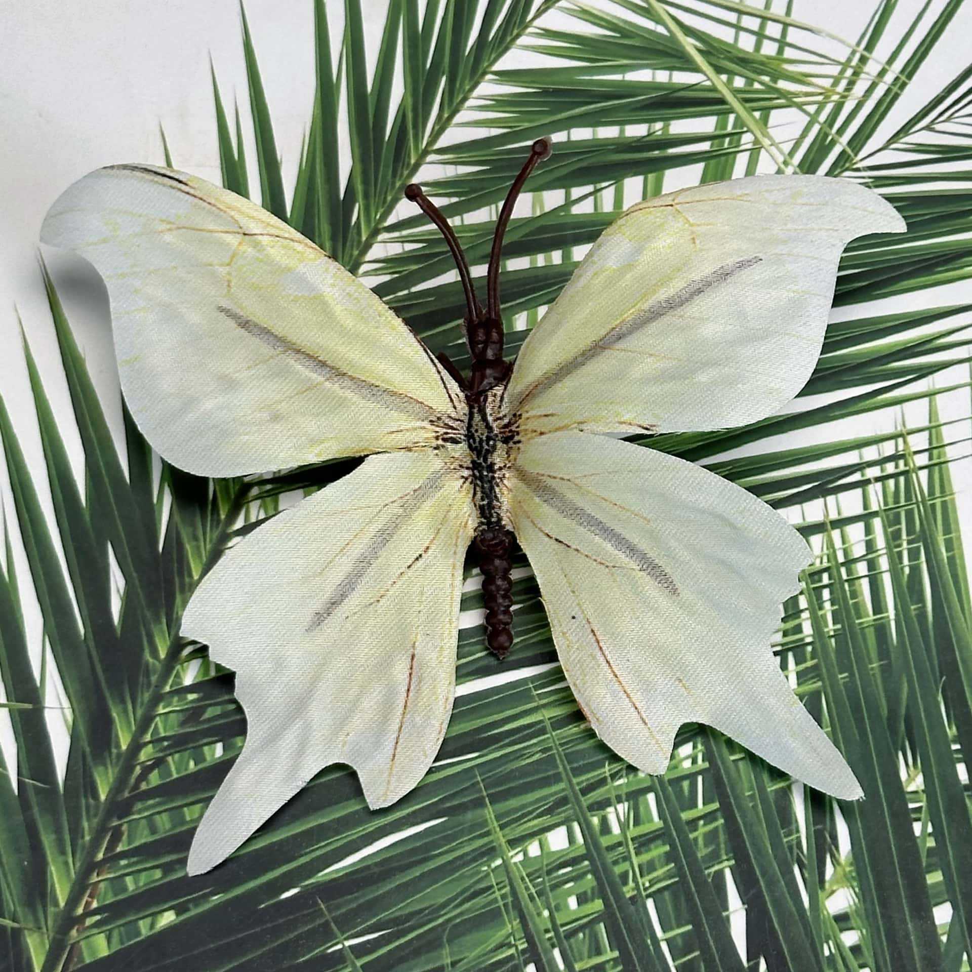 Seda 11CM color mariposa talla grande 33