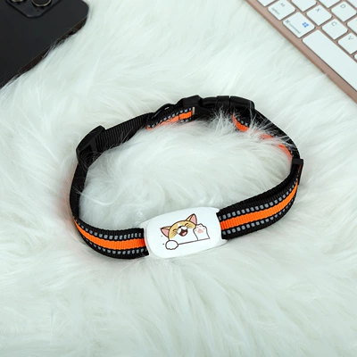 4g Gps Locator Pet GPS Locator - 4g-white-ingot-kitten
