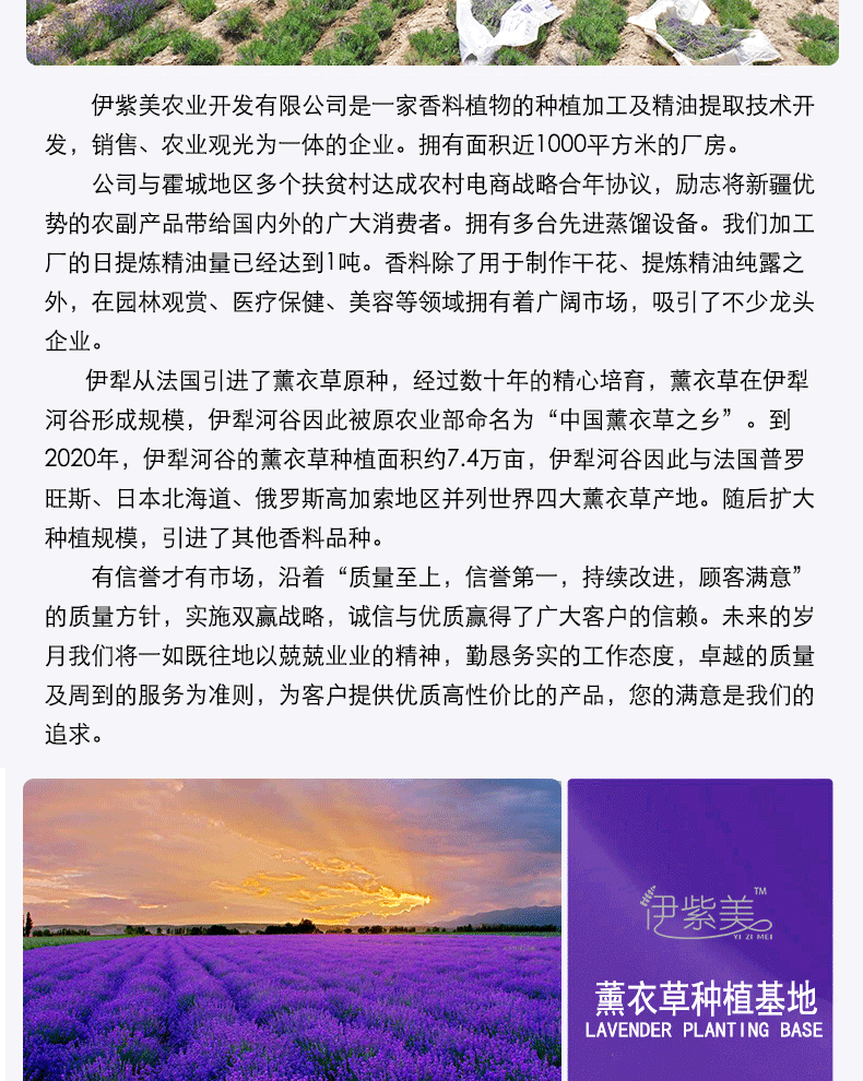 公司介绍_03