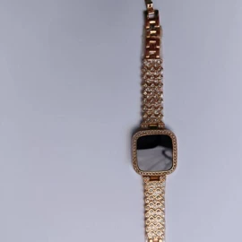 表带;其他表;其他表配件