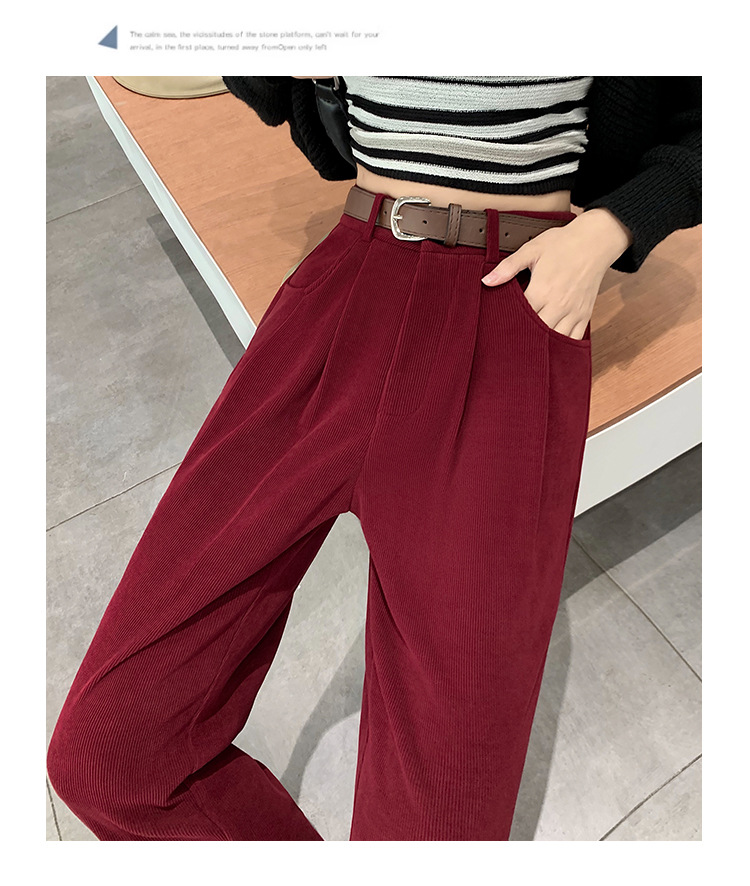 Dames pantalon met wijde pijpen van pluche herfst en winter_voghion.com