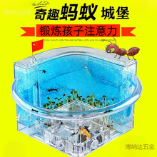 �C�Ƿ���ρ��ρ����׃��@��B��Λρ�������׃��׉����^��e����