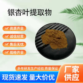 现货批发 银杏叶提取物 银杏叶黄酮24%内酯6%水溶银杏叶粉品质保