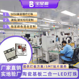 厂家直销5050陶瓷基板灯珠幻彩光源医美理疗灯珠美容仪led灯珠