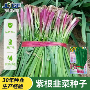 �ϸ��²˷N���ļ��N���Ӹ��t���~�����߲��̨�ҷN�²˴��~�Ѵ�ȫ