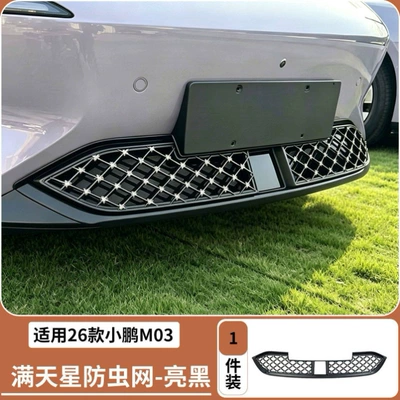 Suitable for 24-26 Models of Xpeng Mona M03, Anti-Insect Net, Water Tank Protection Net, Modified Cooling and Anti-Cat Hair Net, Wholesale (Automobile anti-insect net) - 26-models-of-xpeng-m03-all-in-one-insect-proof-net-gypsophila-silver-star-model-bright-black