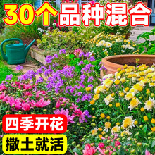 ҰMϻNӲƺݻNļN_ɣ̫ꖻN