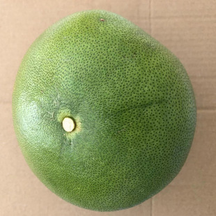 ����ˮ�۴���Ꭷˮ�����r�ЋDˮ����Ƥ����С���Ӱ�������������