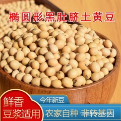 大豆農家 自家産豆乳専用大豆 非遺伝子組み換え古品種大豆 生豆もやし 2.5kgパック