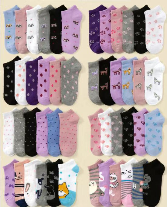 微信图片_20240309124747