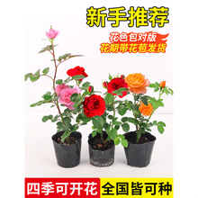 �¼�����õ��С��༾�_���̨���Ի���ͥԺ���پGֲ����ٱ��Nޱ