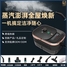 高压手持便携式多功能高温蒸汽清洁机厨房油烟机汽车贴膜清洗工具
