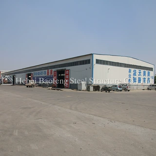 Q235B/Q355B材质钢结构厂房仓库 大跨度设计 快速施工 出口非洲