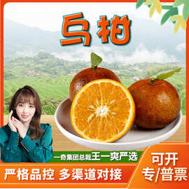 【严选】广西乌柑 代发3/9斤新鲜水果黑皮柑橘当季皮薄多汁丑柑