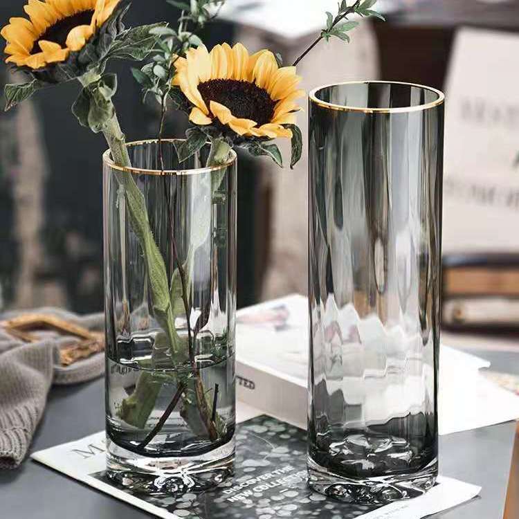 北欧创意轻奢玻璃花瓶透明花瓶水培养百合插花客厅摆件装饰高级感