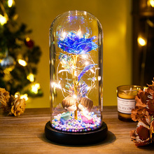 ���ø߼����նY��Ů����Ů���������@ϲ����õ���������[���}�Q��