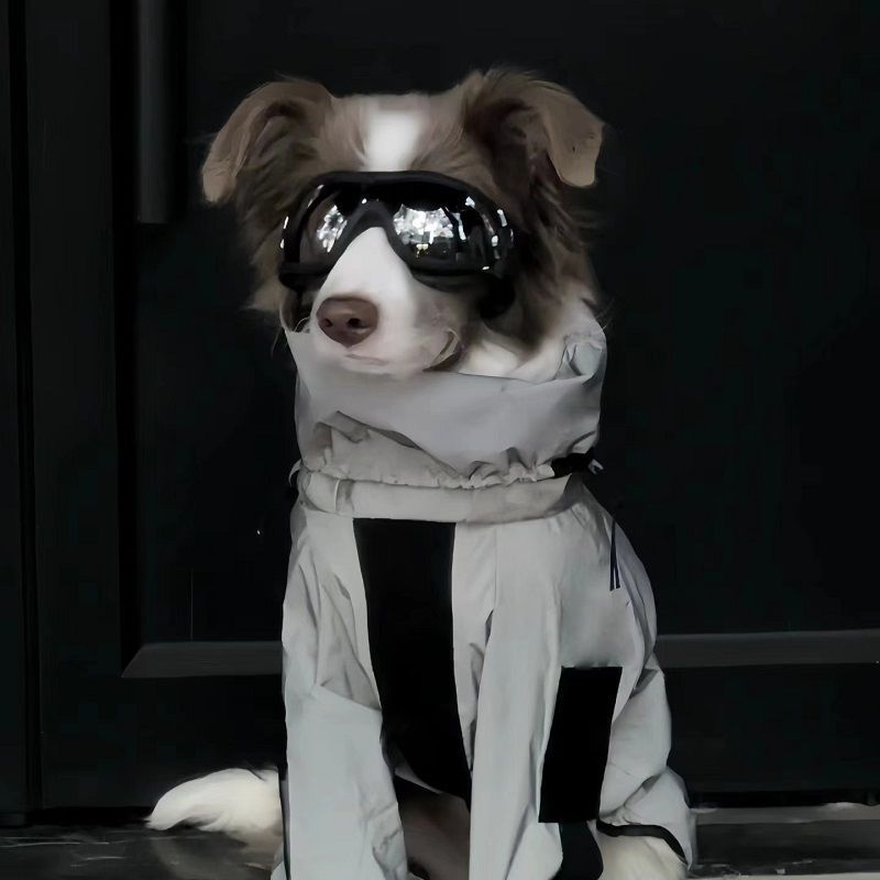 新宠物衣服加绒保暖连帽衣金毛拉布拉多边牧中大型犬反光冲锋衣|undefined