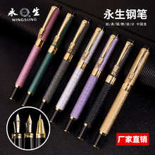 永生商务钢笔硬笔书法练字龙头钢笔美工签字笔礼品学生钢笔套装