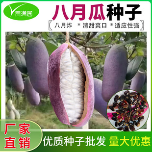 ���l���¹ϷN�Ѯ���Y���������ˮ���Nֲ��������Ϲ�����ը�N��