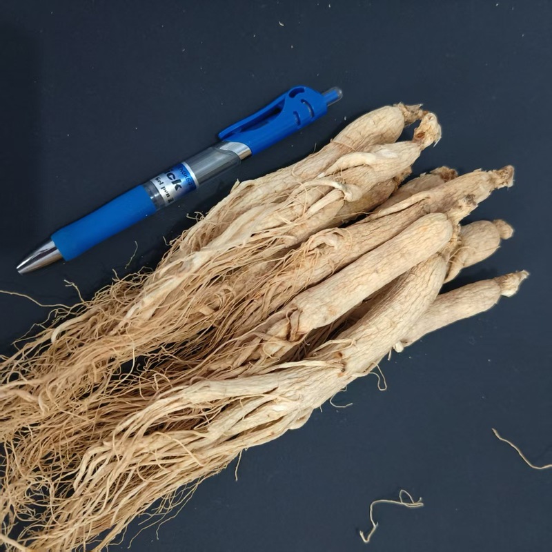 足龄老人参干货长白山250克人叁泡酒泡水中药材东北特产生晒白参|undefined