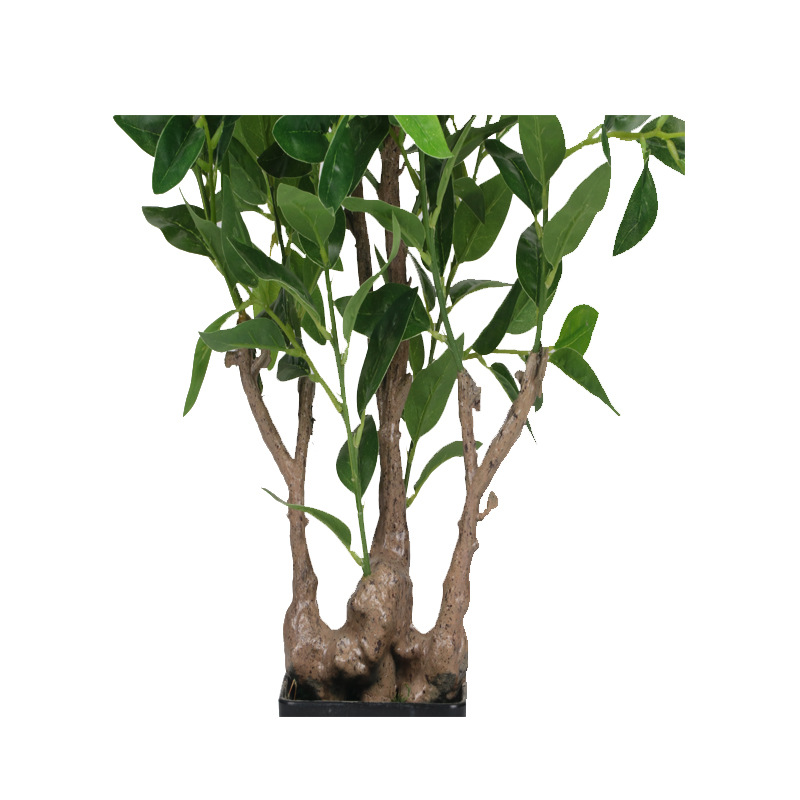 XRS-064 7#盆栽橄榄 (6).jpg