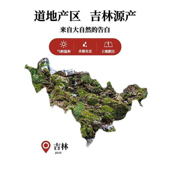 Changbai Mountain Wild Kidney Essence Grass 500g Kidney Essence Tea Foscale Grass Gold Grass Called Tea Northeast Jilin Kidney Essence Grass