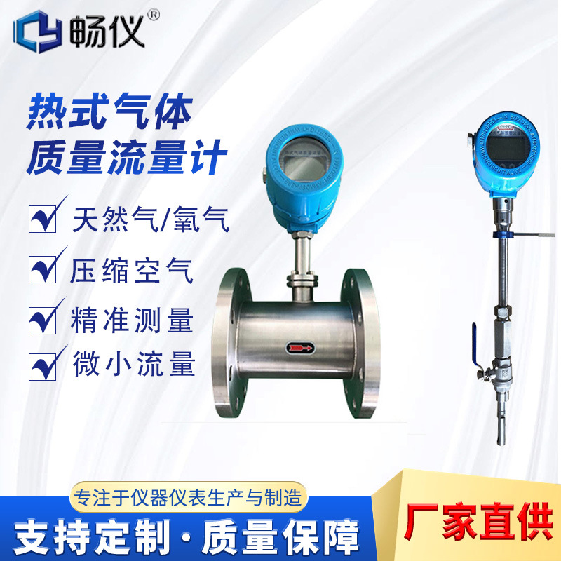 插入式热式气体质量流量计 管段防爆数显信号远传氢气空气流量计
