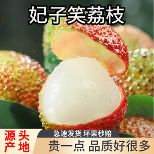 ���r��֦���ϬFժ�F�l�����^������Ц�Y��������]����ˮ�����l