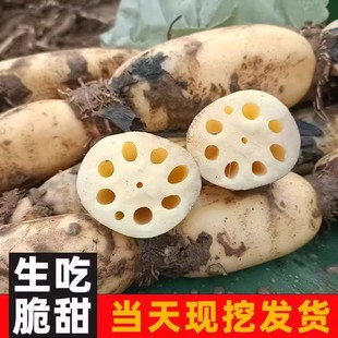 �����ź5�����rɏź����خa��Ư��ɏź�峴�����r�߲ˬF�ڬF�l