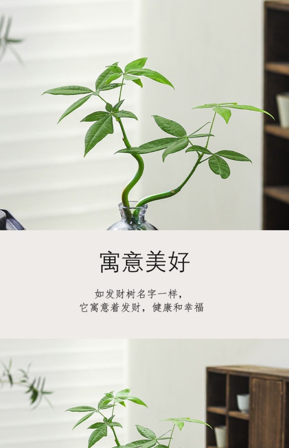 8f931dfe-227a-413c-b870-7e6a4558a867.jpe