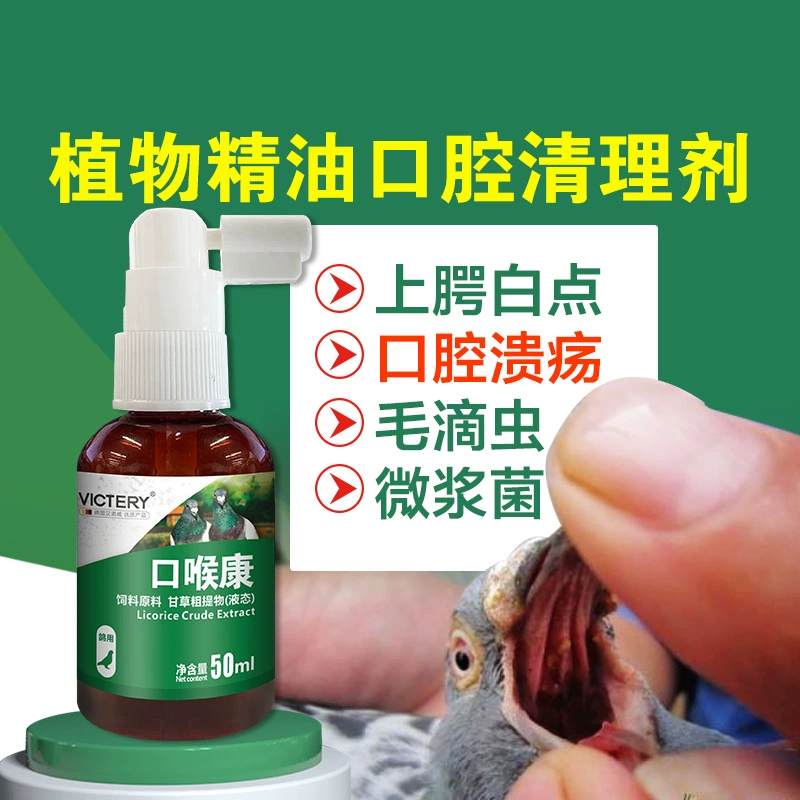 Kouhoukang 50 мл/флакон оральный спрей Trichomonas Candida оральный желтый носик дыхательных путей чистая не голубиная медицина