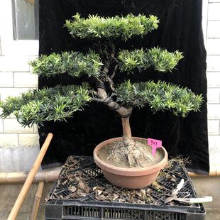 �_�h���辰ȸ���_�h�������ܘ�������Ϙ�ӭ����

���;��^�S��