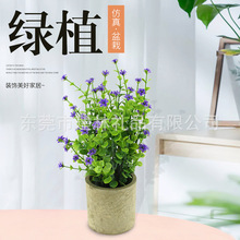 �S��ֱ�� ����Gֲ�������ϼٻ� �k���b[��С���»���ɶ���