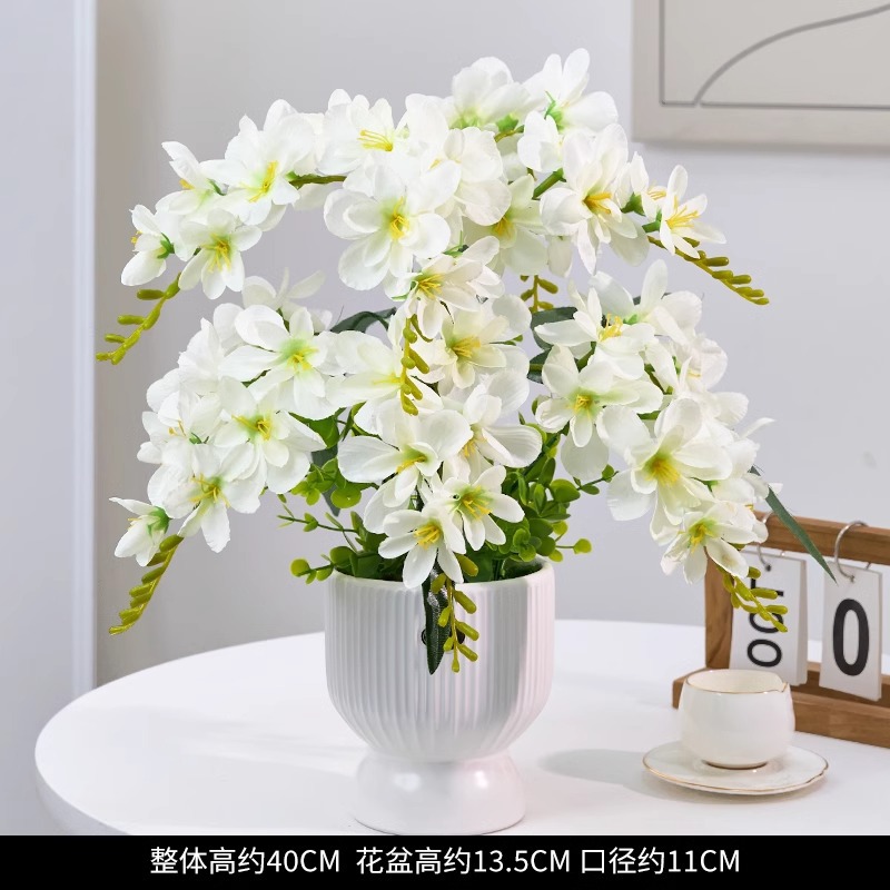 흰색 Alyssum 9개 + 긴 수직 무늬 병