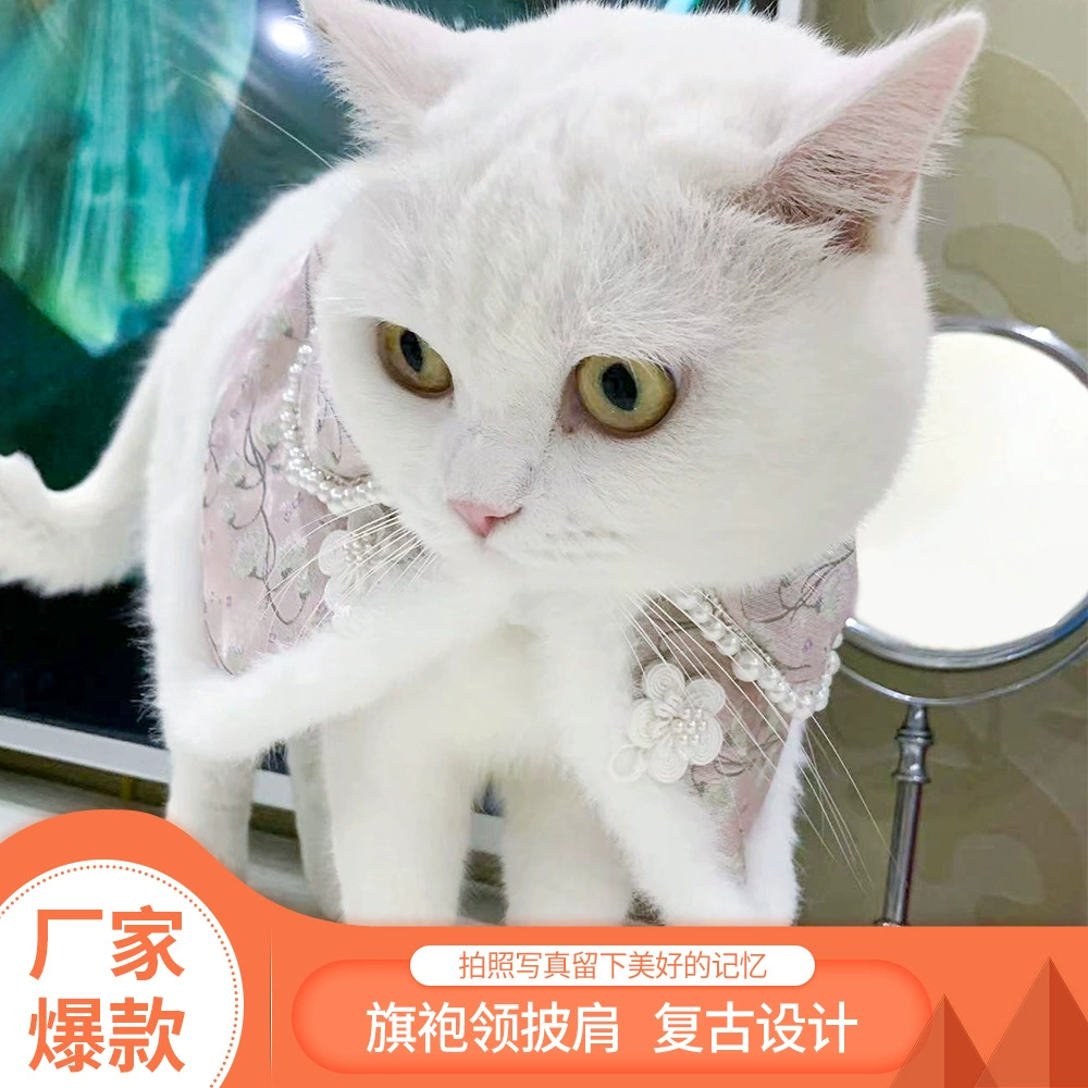 Взрывы Удобная кошка собака домашнее животное шаль Маленький Средний кошка собака ретро принцесса ветер одежда оптовая продажа с фабрики