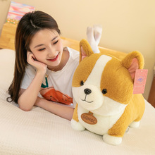 �W�t��»�Ȯë�q�����ëſ����ʿ�湫��15����ż�ɐ۲����޶YƷ