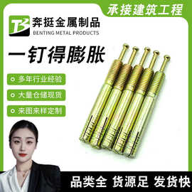 锤击壁虎举升机专用一钉得击芯膨胀螺丝敲击式内膨胀螺栓
