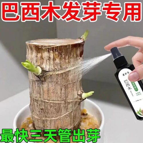 Brazilian Palm Special Nutrient Solution Plant Home Gardening Fertilizer Pot Cultivation Lucky Wood Promotes Sprouting and Root Growth Water Culture Aquaculture