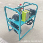 养殖场消毒自动缠管遥控开关控制打药机 双电机48v农作物喷雾机